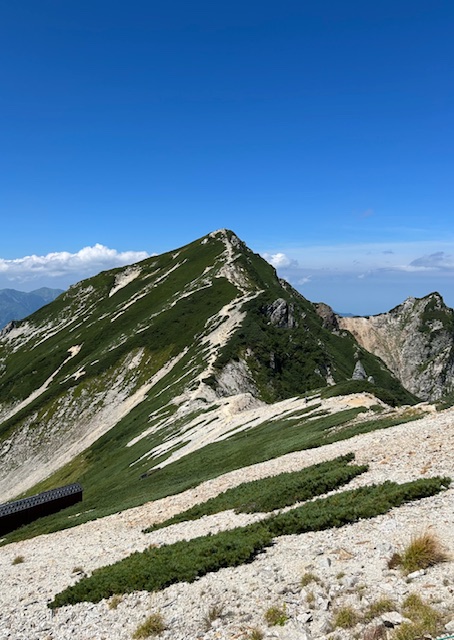 唐松岳