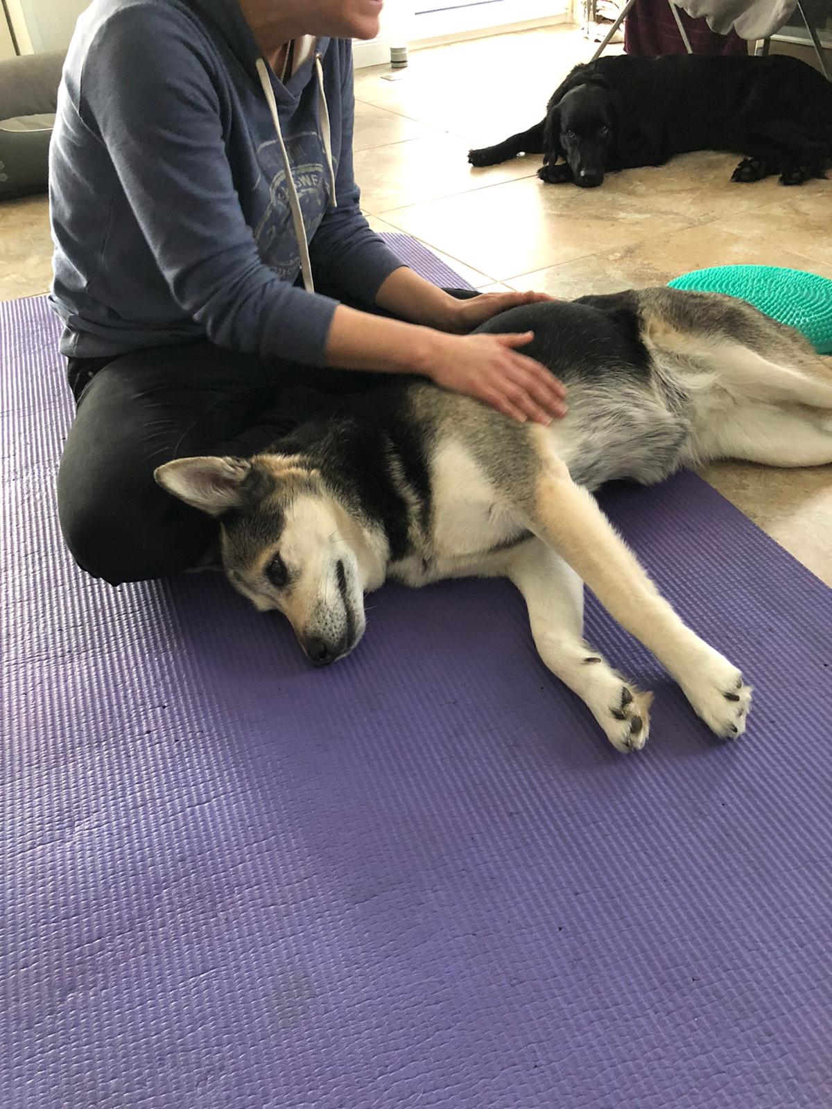 Massage / Enspannungstherapie