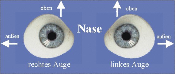 Ocularprothetik Lauscha - Standardprothese