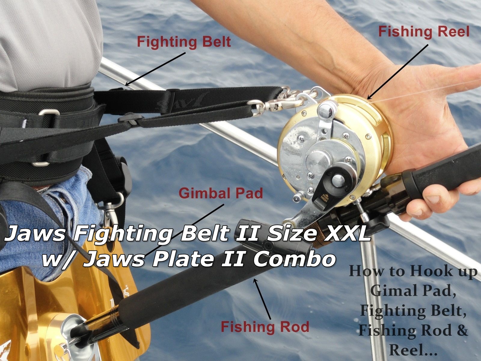 Flighting Belt Size XXL with Gimbal Pad II