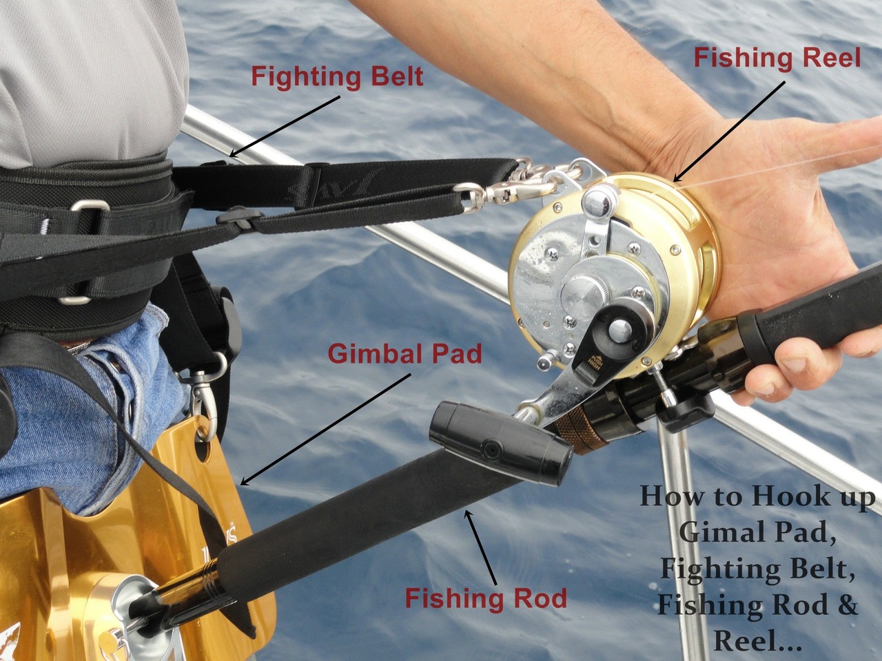 Ultimate Fighting Belt Big Game Harness PBM Fishing