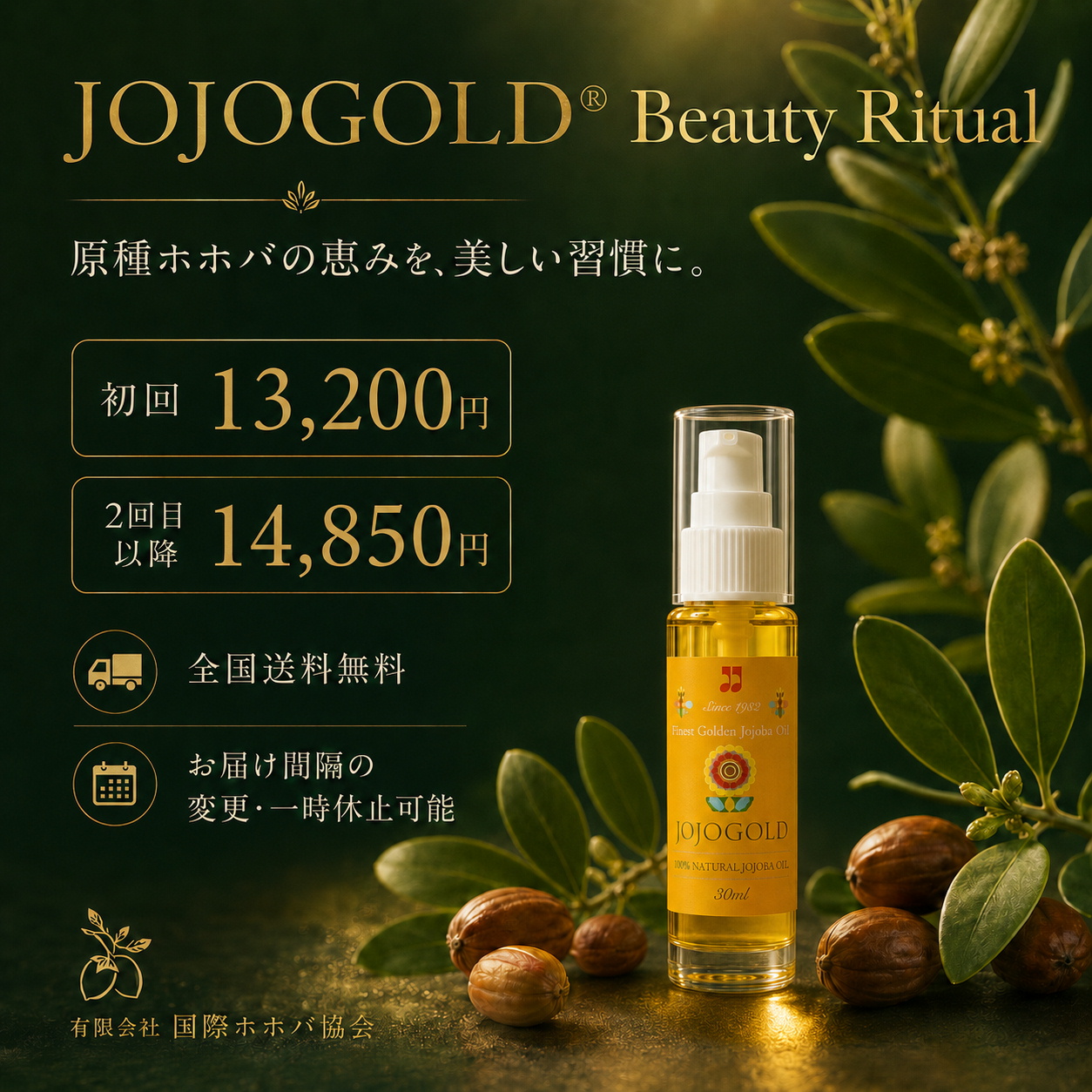 ホホゴールド30mLとホホバの葉・種を背景に、JOJOGOLD Beauty Ritualの初回13,200円、2回目以降14,850円、全国送料無料、お届け間隔の変更・一時休止可能を案内する定期便PR画像