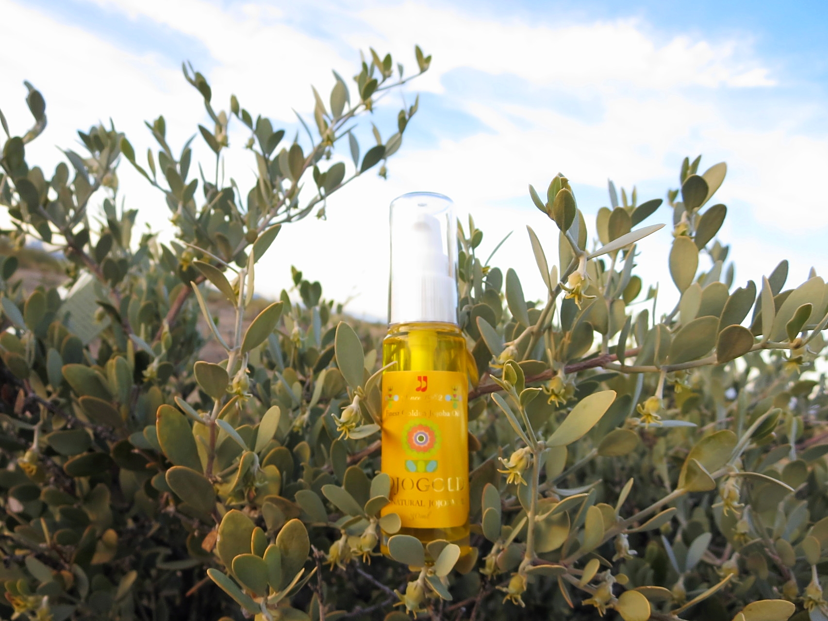 ♔ ARIZONA JOJOGOLD  "Mystic dew"　- a golden Oasis for your skin.　