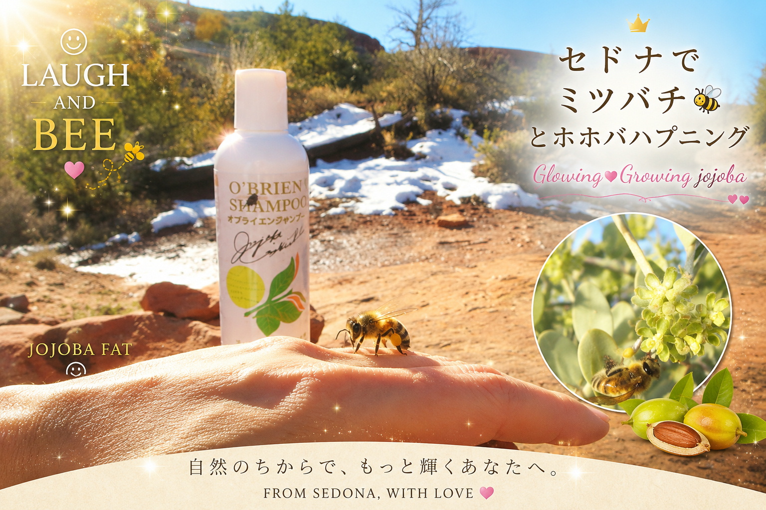 セドナの自然を背景に、原種ホホバの花とミツバチ、O'Brien's Shampoo を配した国際ホホバ協会の「LAUGH AND BEE JOJOBA FAT」ビジュアル。「笑う門には福来る」をテーマに、自然とホホバ、ミツバチの共生を表現したイメージ。