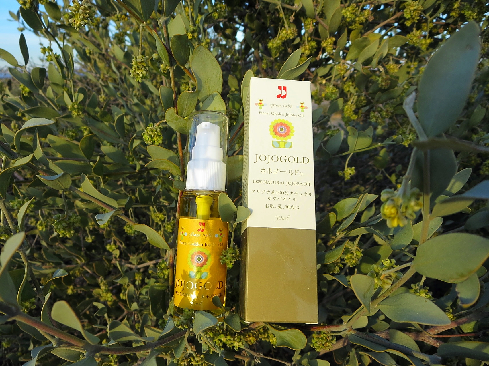 ♔ ARIZONA JOJOGOLD  "Mystic dew"　- a golden Oasis for your skin.　