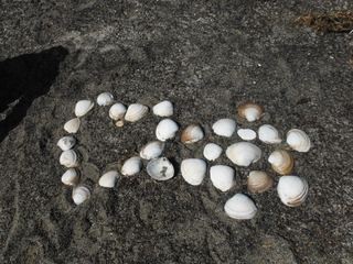 海遊びセットはばっちり!