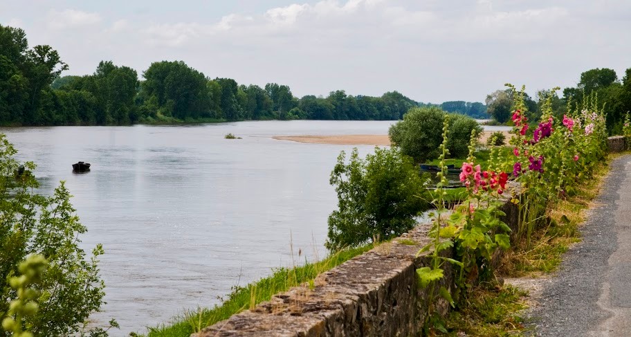 Bord de Loire - La Divatte