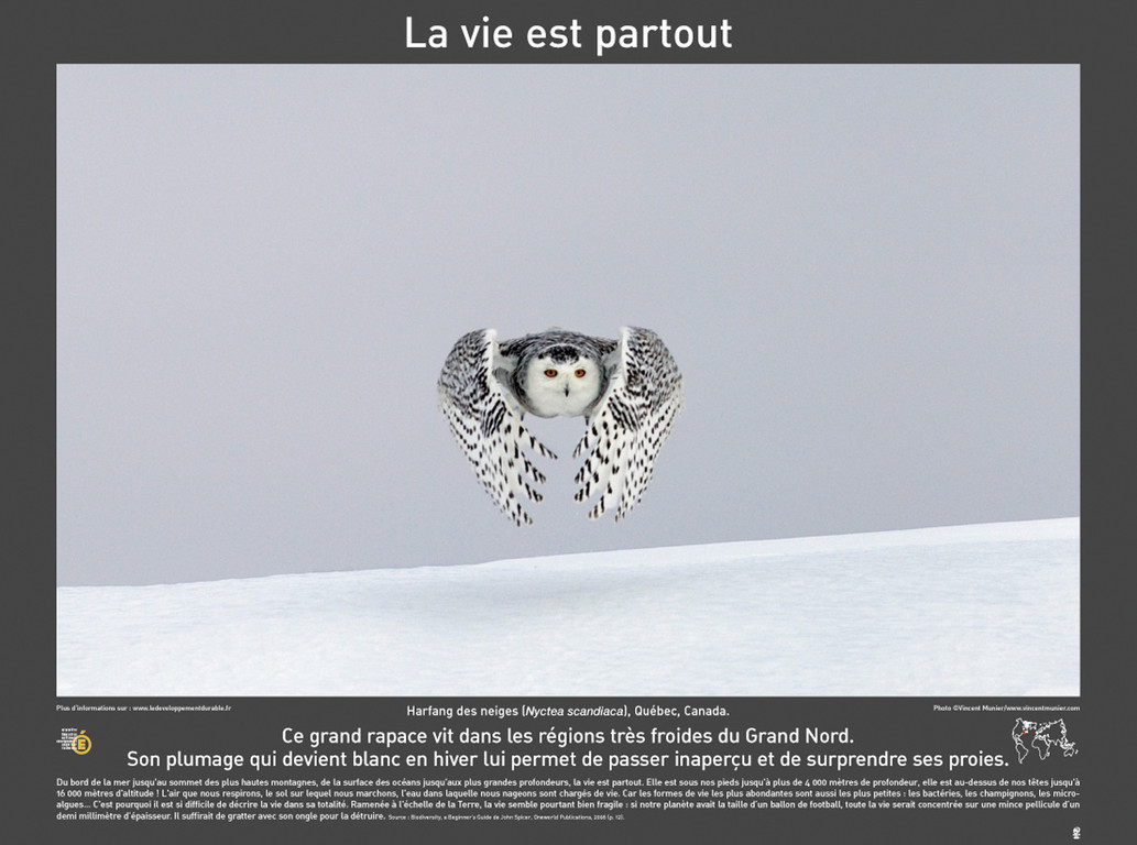 DIAPORAMA YANN ARTHUS BERTRAND - BIODIVERSITE