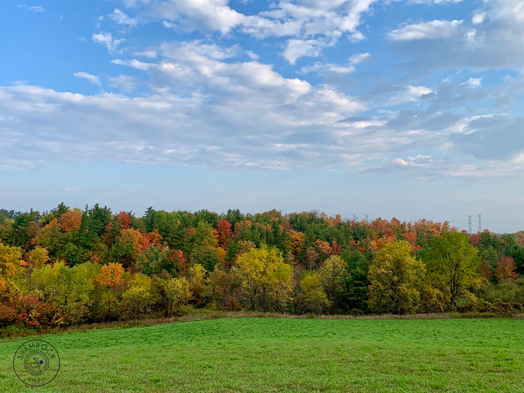 Fall Colors in Ontario, Canada