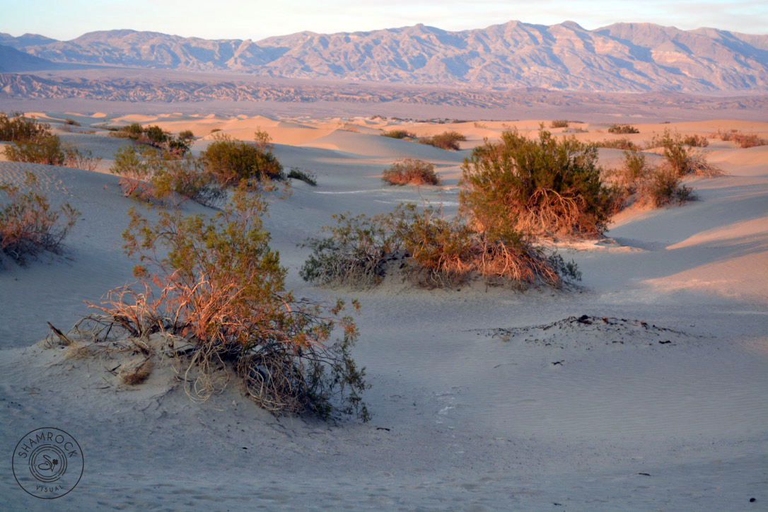 Dunes in Death Valley, CA - USA