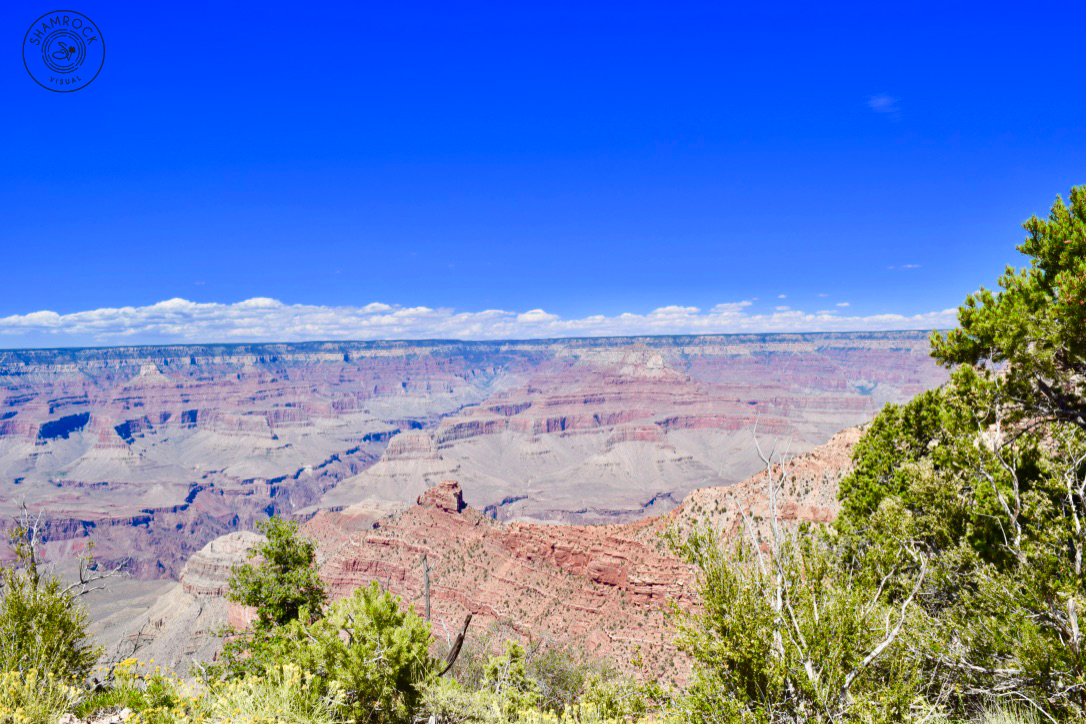 Grand Canyon, Arizona  USA