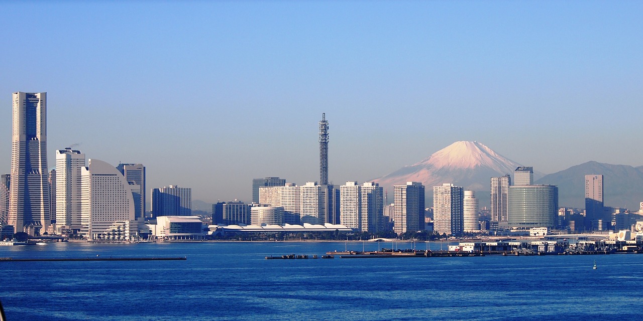 医療法人社団山手正恵会