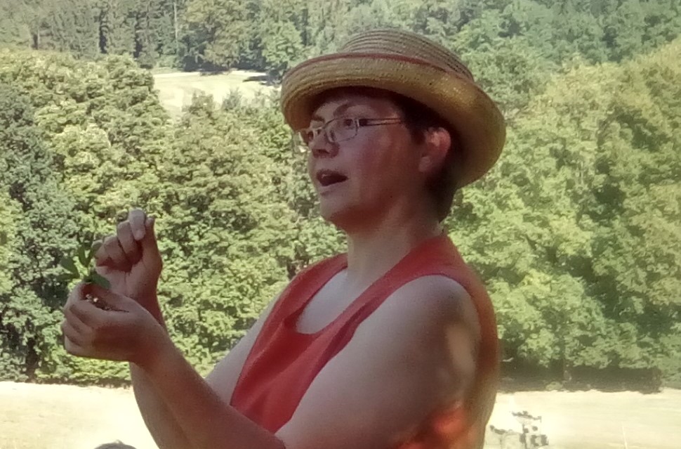 Wildkräuterführung