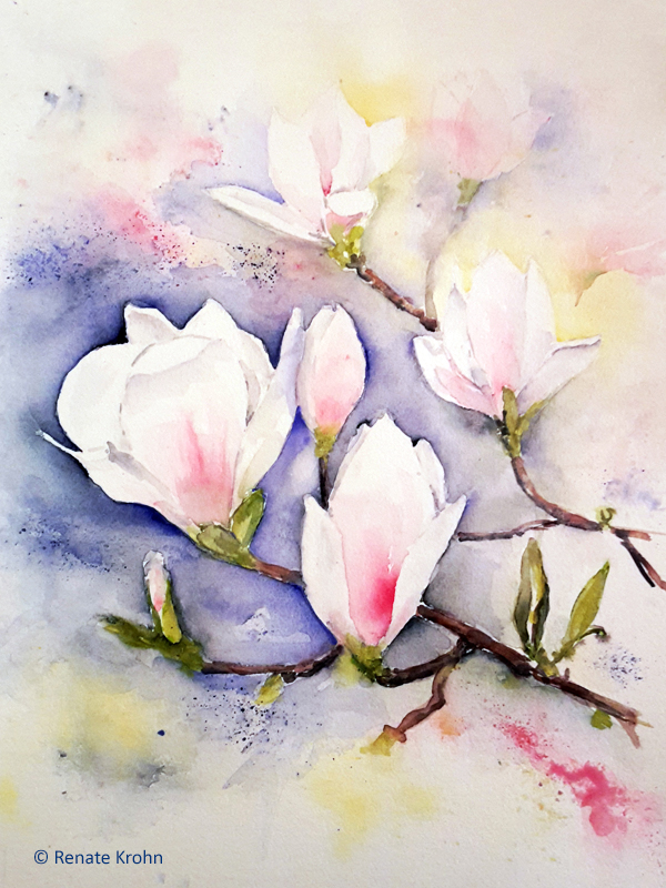 2021 Juni Magnolien Aquarell Renate Krohn