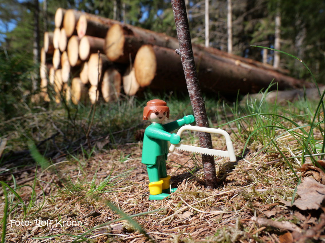 Holzfäller im Tangstedter Forst