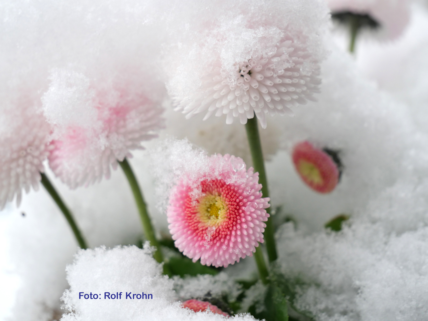 2023 03 Wintereinbruch