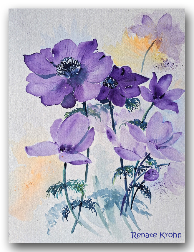 2026 Anemonen 