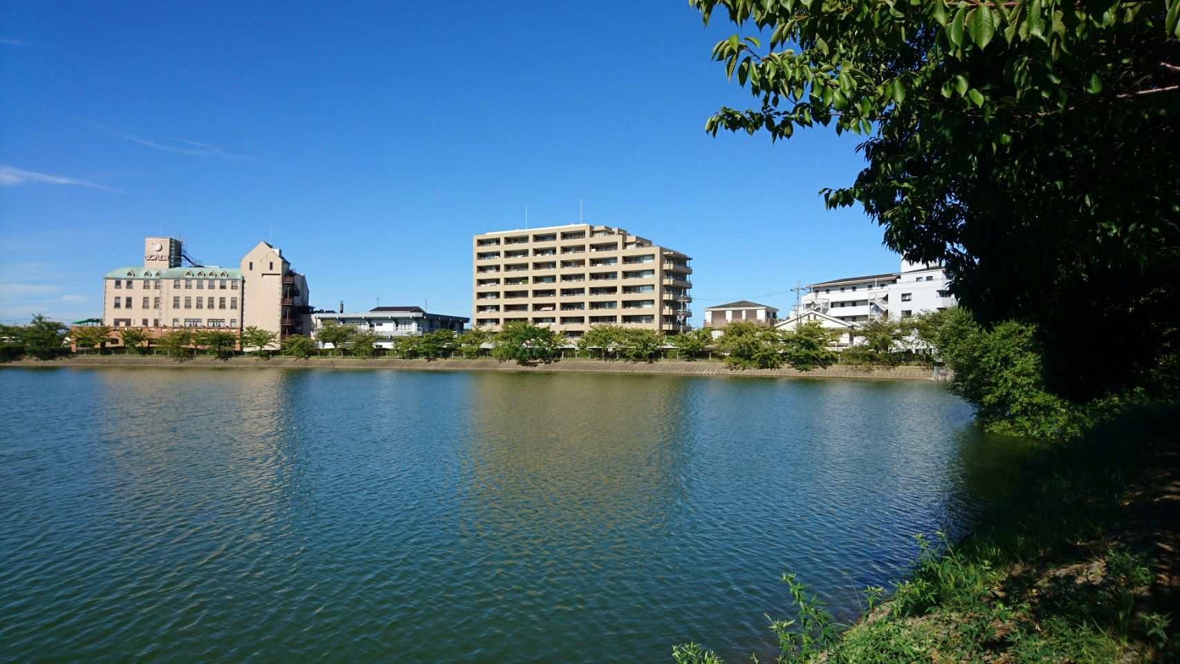 ディアステージ深井水賀池公園 - ディアステージ深井水賀池公園