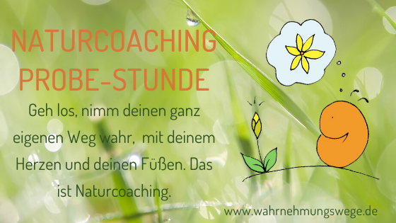 NaturCoaching Erfurt, Coaching in der Natur