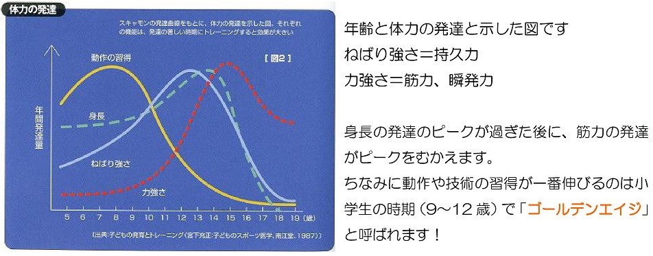 筋トレと身長 アスリート鍼灸整骨院 筋トレと身長 アスリート鍼灸整骨院