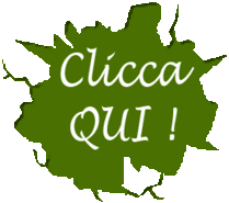TESTIMONIANZE SUL BIOLADY