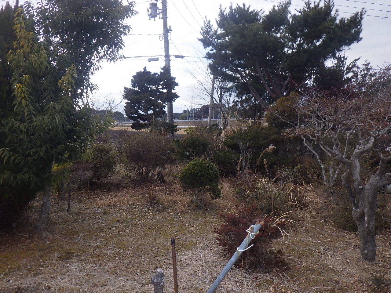Before　登米市迫町