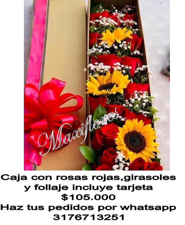 Cajas Con Rosas A Bucaramanga Giron Piedecusta Lebrija Floridablanca Floristeria En Bucaramanga Maxiflores Ademas de servir para decorar, estas letras y numeros pueden servirte para hacer una linda pinata. cajas con rosas a bucaramanga giron