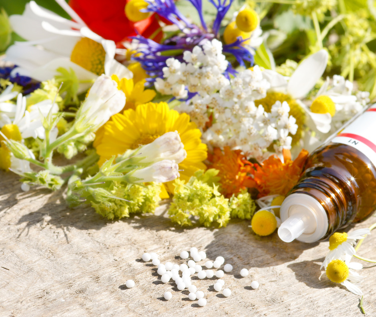 (c) Lanz-heilpraxis.ch