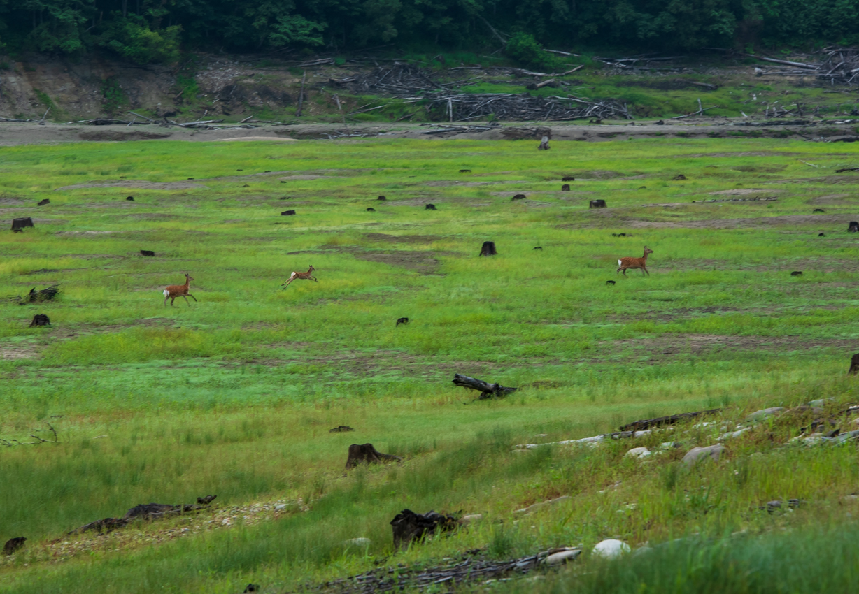 2019.7.25 北海道上士幌町 糠平湖