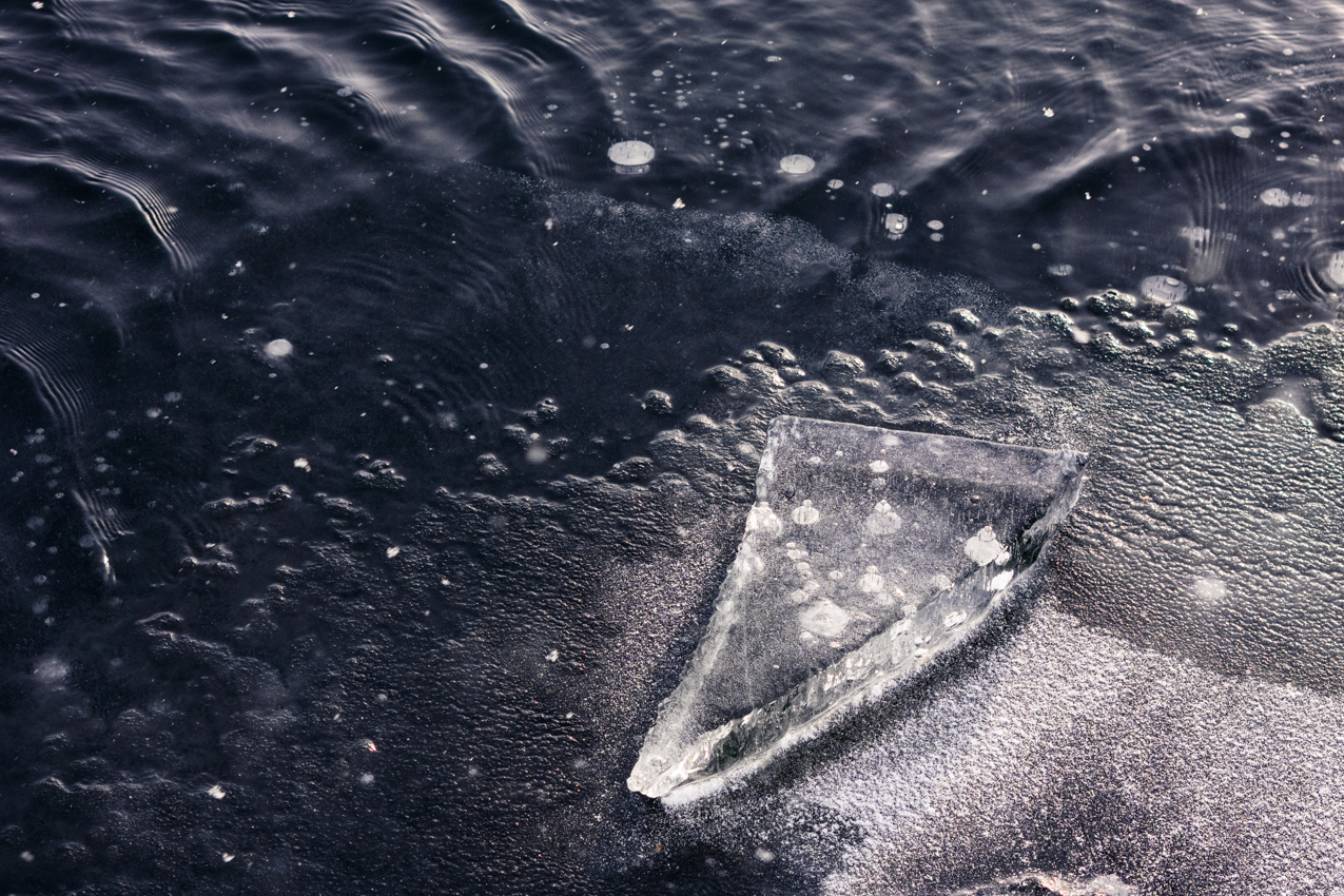 Winter Ephemeral