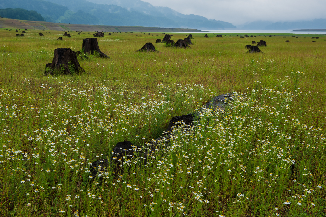 2019.8.10 北海道上士幌町 糠平湖