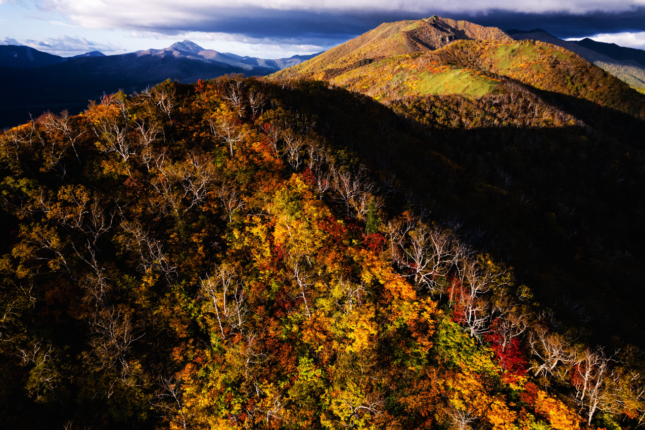 紅葉が進む東大雪の山並み