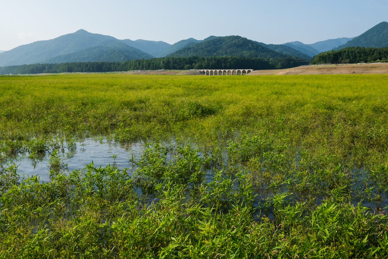 2019.8.3 北海道上士幌町 糠平湖 タウシュベツ川橋梁