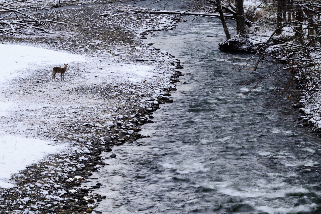 4月も雪景色