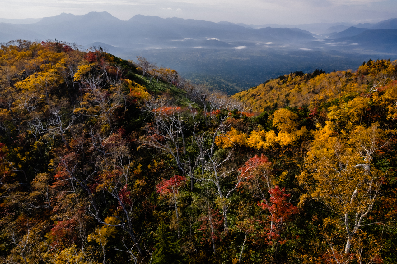 紅葉、山を下る