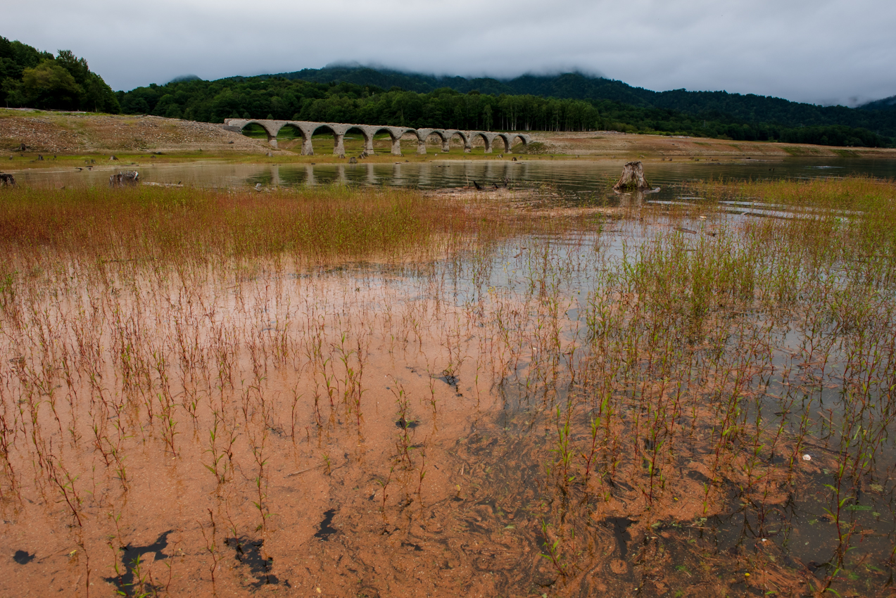 2019. 8.24 北海道上士幌町 糠平湖 タウシュベツ川橋梁