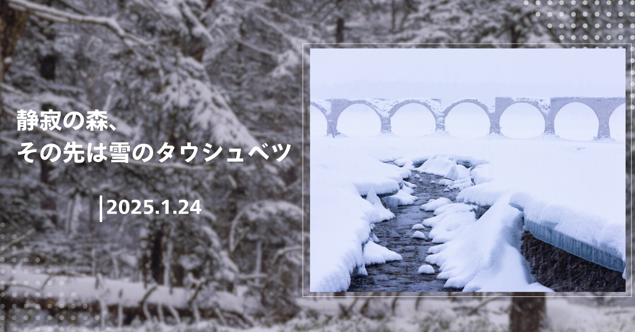 静寂の森、その先は雪のタウシュベツ