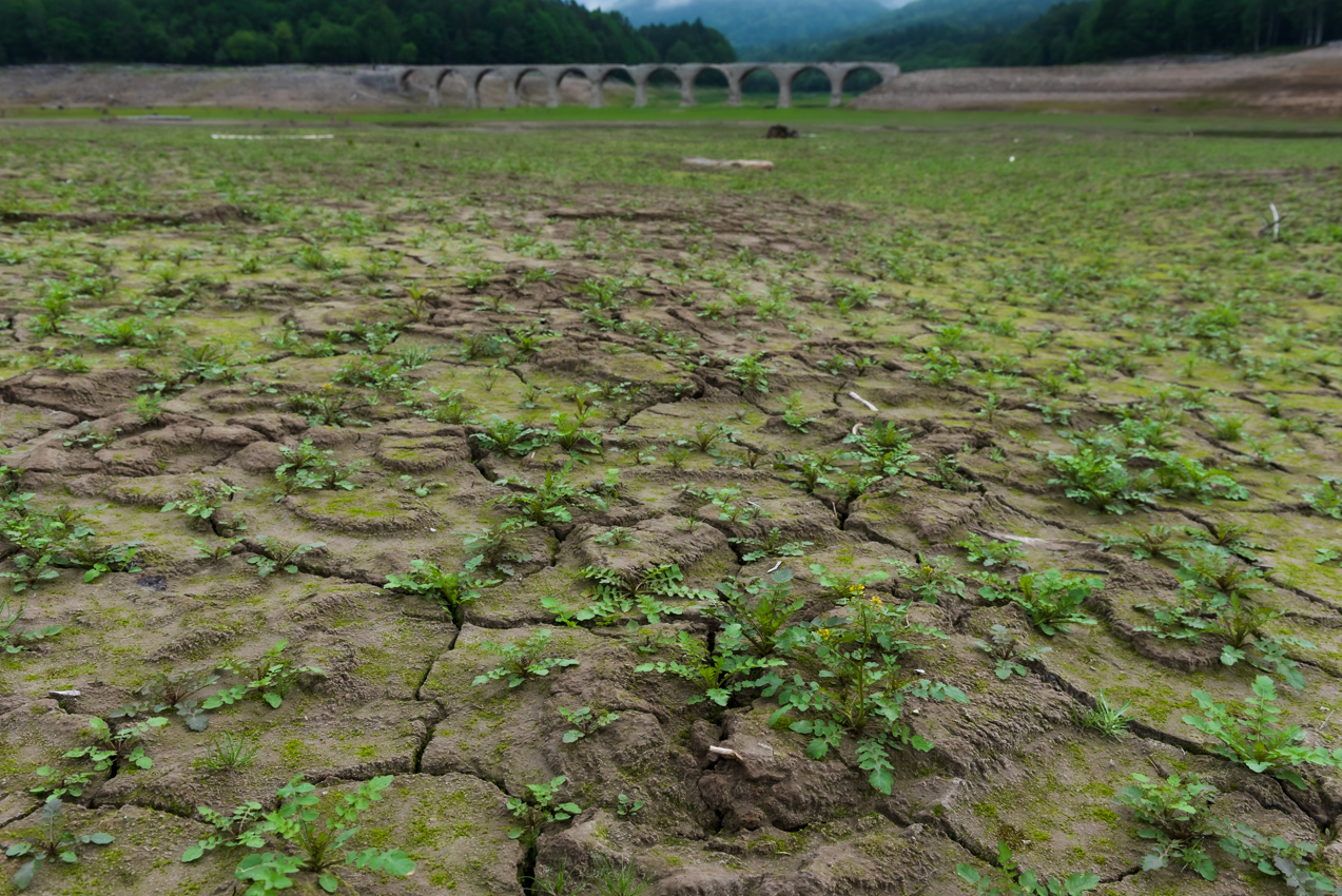 2019.7.5 北海道上士幌町 糠平湖 タウシュベツ川橋梁