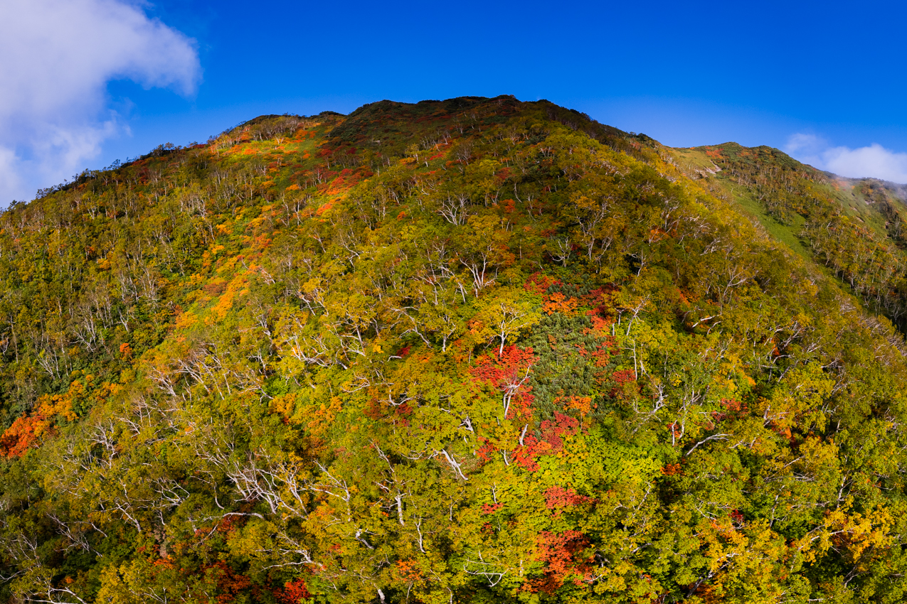 山の上から紅葉が