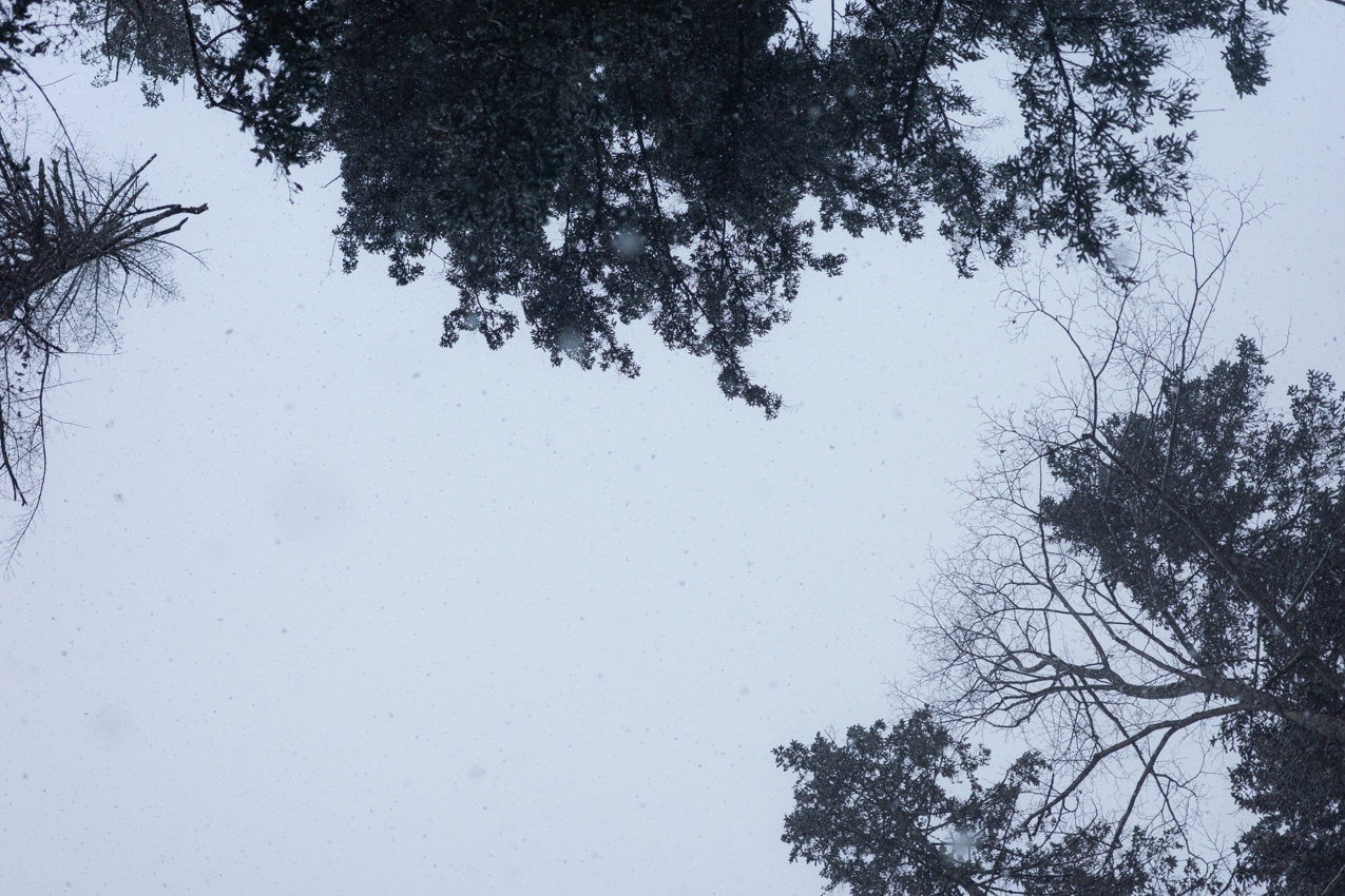 雪を待つ朝