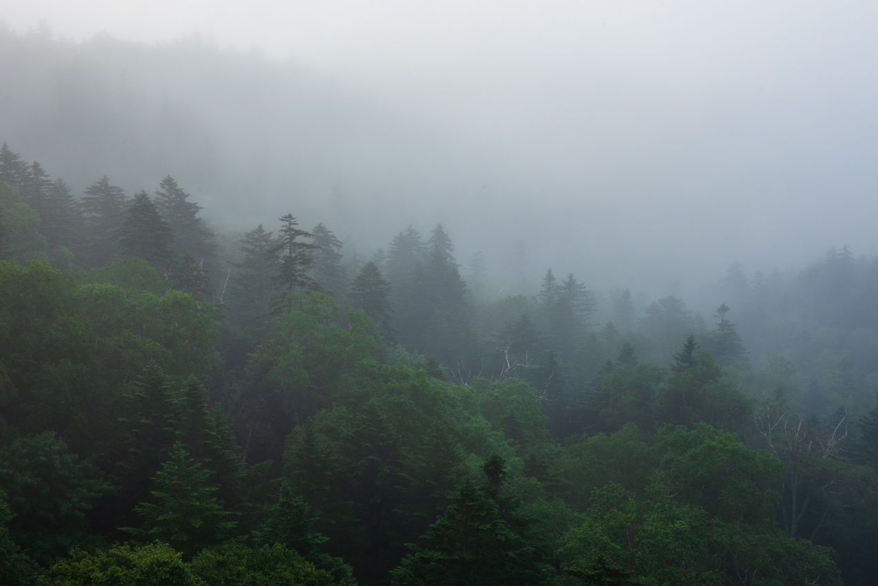 2019.7.23 北海道上士幌町 三国峠