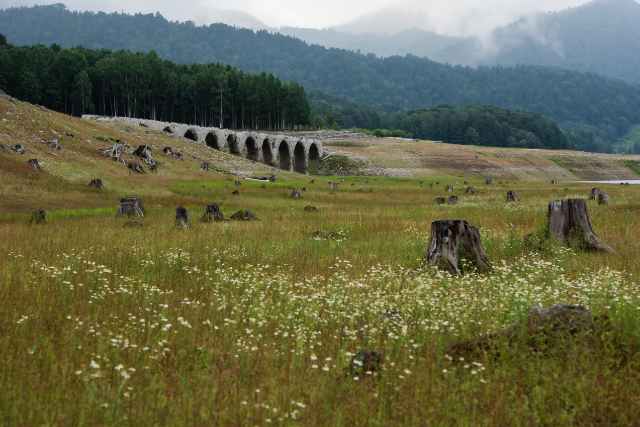 2019. 8.19北海道上士幌町 糠平湖 タウシュベツ川橋梁