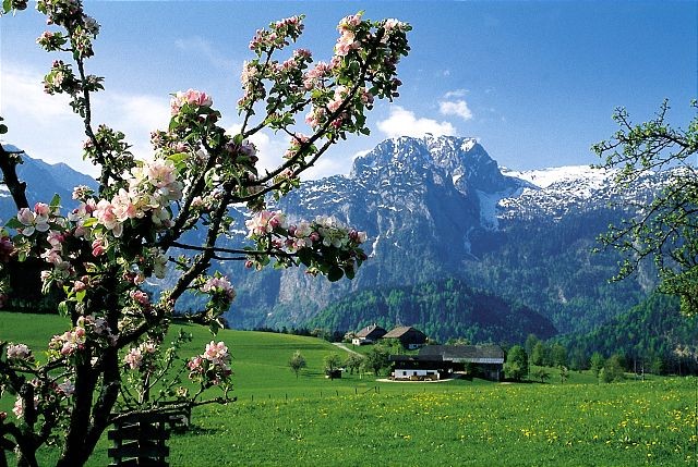 Frühling in Abtenau