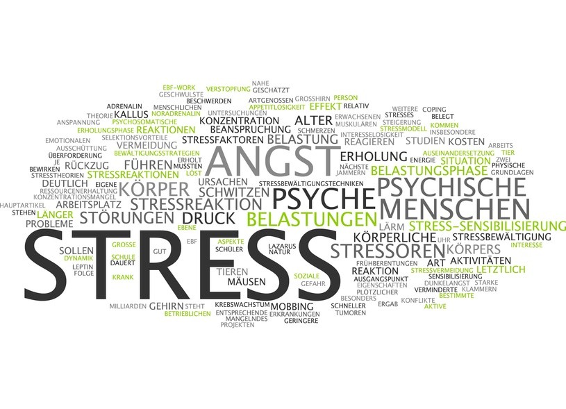 Psychische Belastungen am Arbeitsplatz. Wir unterstützen in Nürnberg und Deutschland - SANSULTING