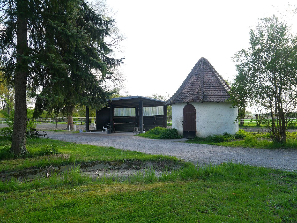 Putzplatz und Sattelkammer zum Paddockboxenstall.