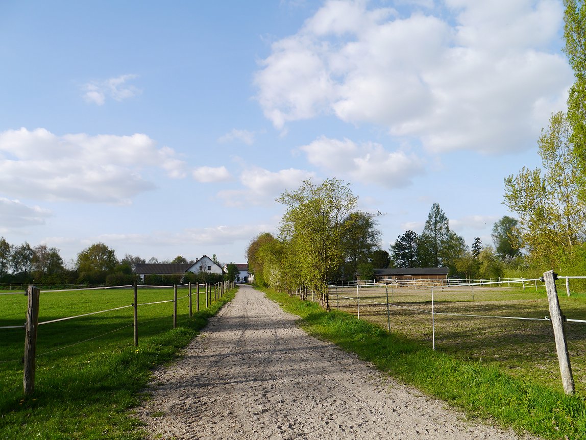 Links Koppeln, rechts Paddocks, oben blauer Himmel ... 