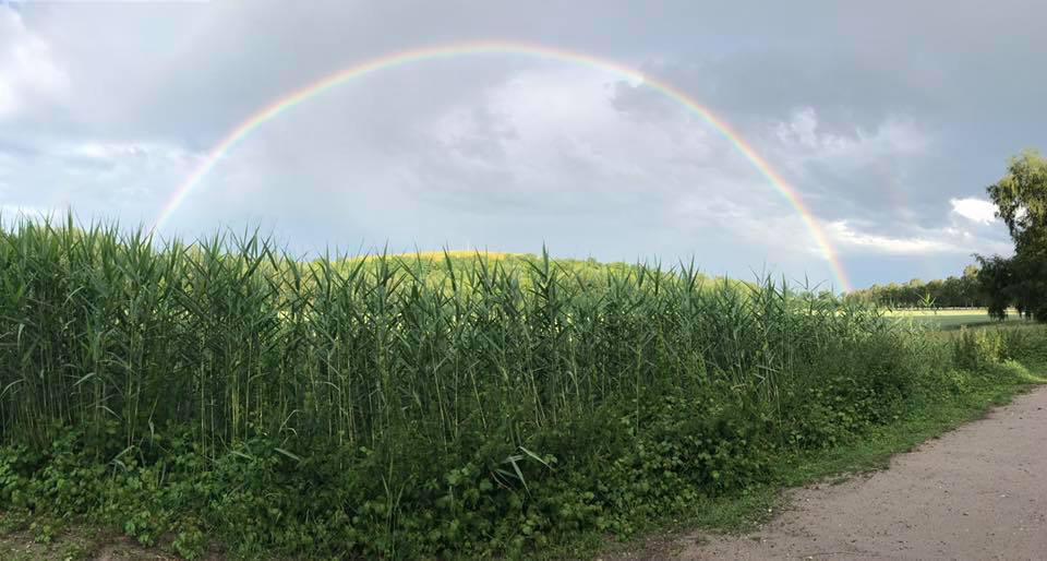 Nach dem Regen scheint auch schon wieder die Sonne.