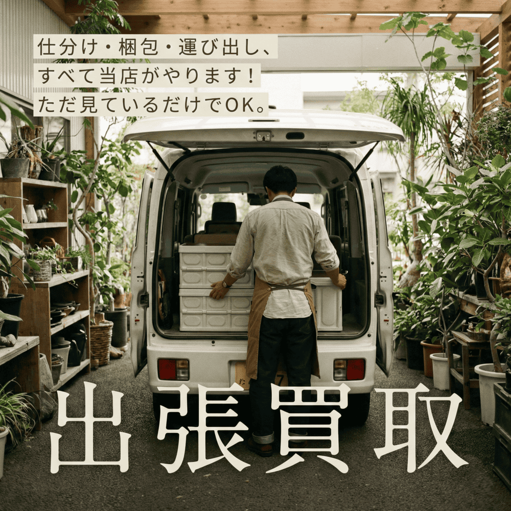 仕分け・梱包・運び出し、すべて当店がやります。ただ見ているだけでOK。
