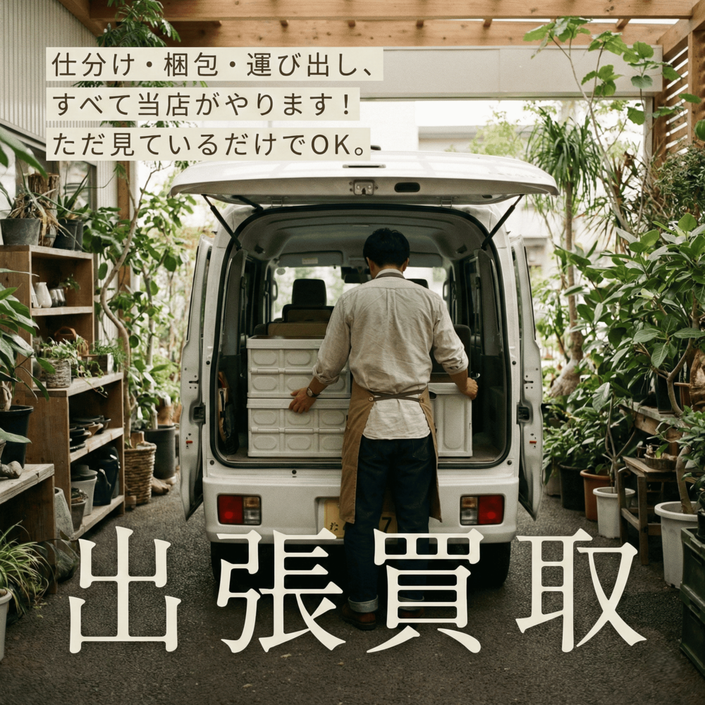 仕分け・梱包・運び出し、すべて当店がやります。ただ見ているだけでOK。