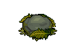 anc_mossyrock